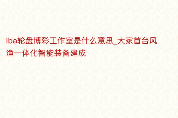 iba轮盘博彩工作室是什么意思_大家首台风渔一体化智能装备建成