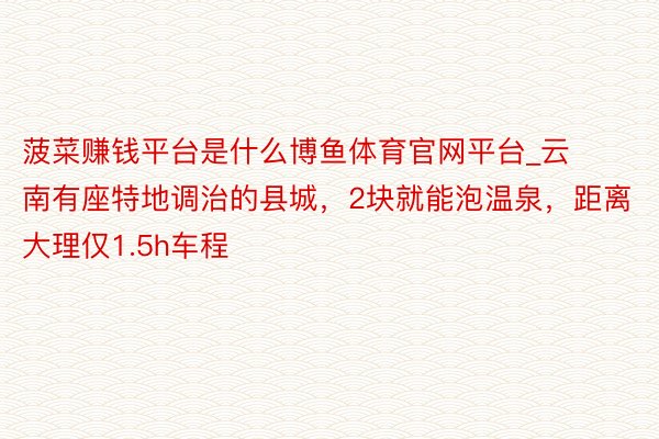 菠菜赚钱平台是什么博鱼体育官网平台_云南有座特地调治的县城，2块就能泡温泉，距离大理仅1.5h车程