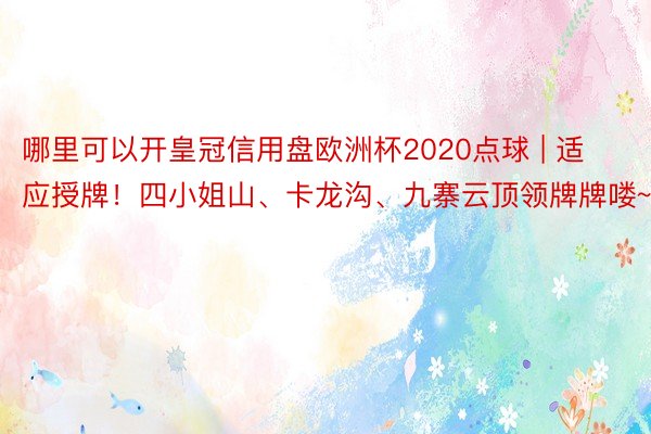 哪里可以开皇冠信用盘欧洲杯2020点球 | 适应授牌！四小姐山、卡龙沟、九寨云顶领牌牌喽~