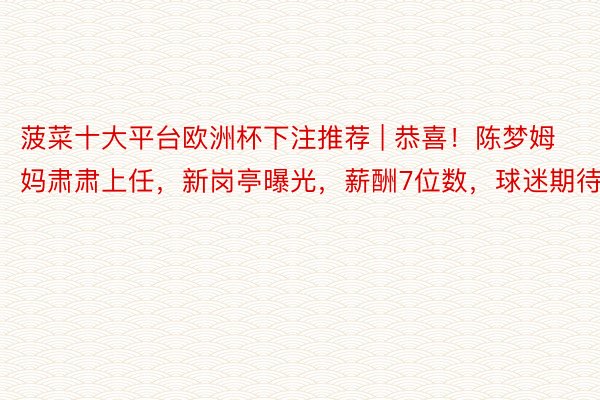 菠菜十大平台欧洲杯下注推荐 | 恭喜！陈梦姆妈肃肃上任，新岗亭曝光，薪酬7位数，球迷期待