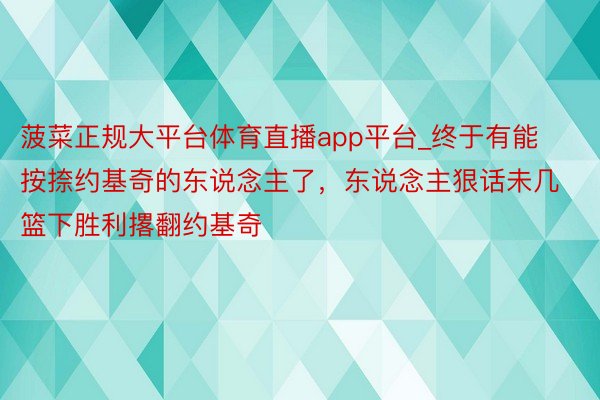 菠菜正规大平台体育直播app平台_终于有能按捺约基奇的东说念主了，东说念主狠话未几篮下胜利撂翻约基奇